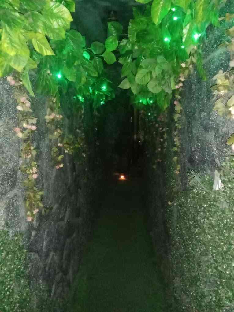The Jungle Spa
